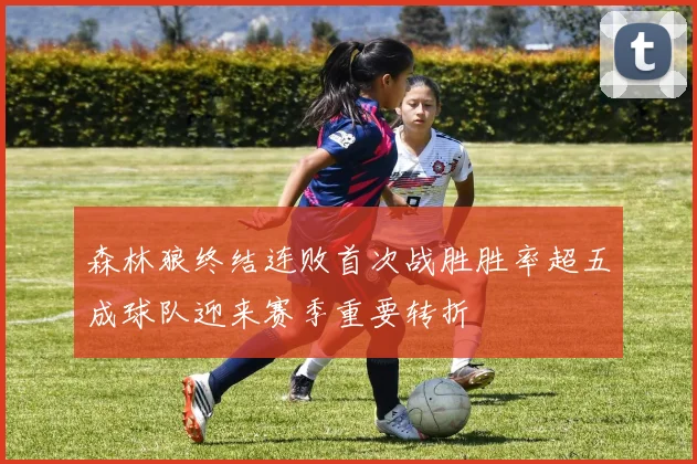 森林狼终结连败首次战胜胜率超五成球队迎来赛季重要转折