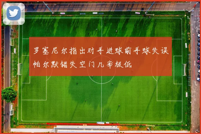 罗塞尼尔指出对手进球前手球失误帕尔默错失空门几率极低