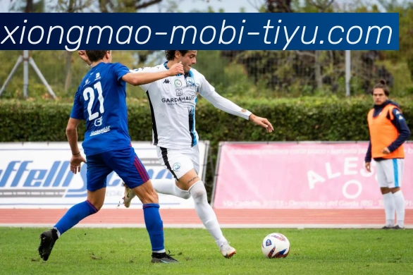 曼城冬窗欲签格伊报价至少3500万镑力争匹配竞争对手出价